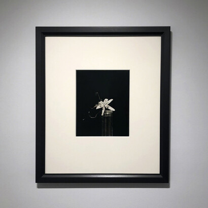 Brancusi's Flowers. Courtesy of Bruce Silverstein Gallery
