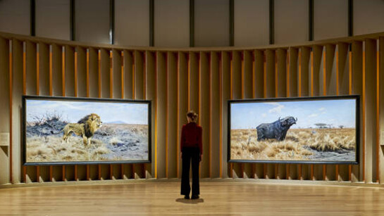 King of the Animals. Courtesy of SCHIRN
