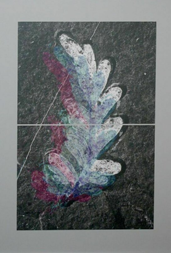 Ian Pedigo, Your Dreams in Sediment, 2014, Archival inkjet print on canvas mounted on primed board, 44 x 32 inches