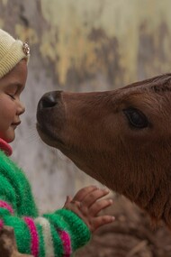 Humanity naturally experiences deep feelings of love and profound gratitude