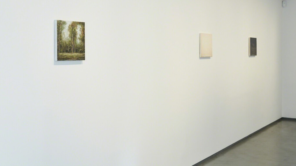 Lucas Arruda. Courtesy of Cahiers d'Art