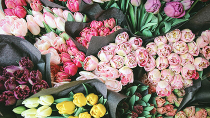 Mazzi di fiori: parole per ricordare il tempo nel quale il linguaggio dei fiori sapeva comunicare verità e passione