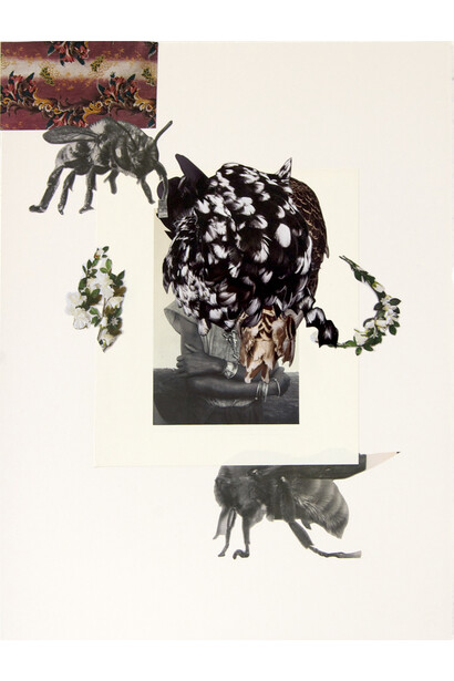 Marcia Kure, Ethnographica XI: Bird II, 2015, Collage on Arches HP watercolor paper, 300LB, 24 x 18 in. Courtesy: Susan Inglett Gallery, NYC.