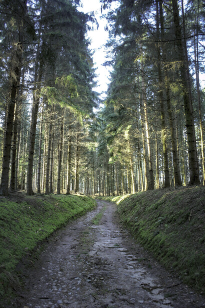 Ferragosto. Questo è il momento perfetto per organizzare pic-nic, grigliate o semplicemente per rilassarsi all'aria aperta