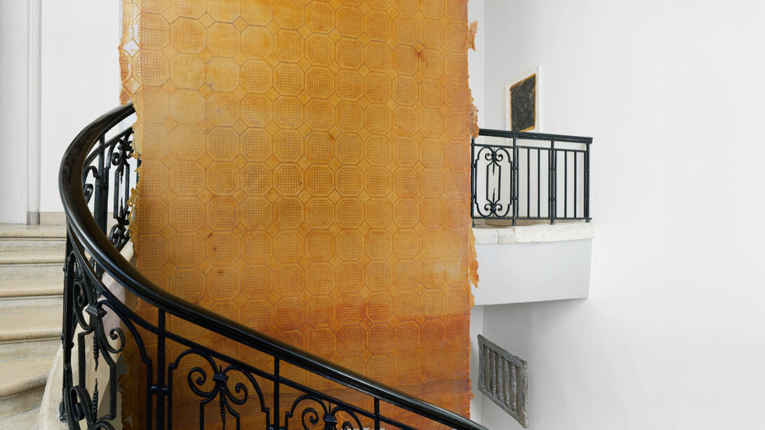 Heidi Bucher, La rose de Paris, vista da exposição. Cortesia de Mendes Wood DM
