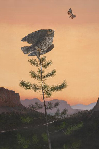 Seeing in Detail. Courtesy of Amon Carter Museum of American Art