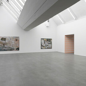 Hélène Delprat. Courtesy of carlier | gebauer