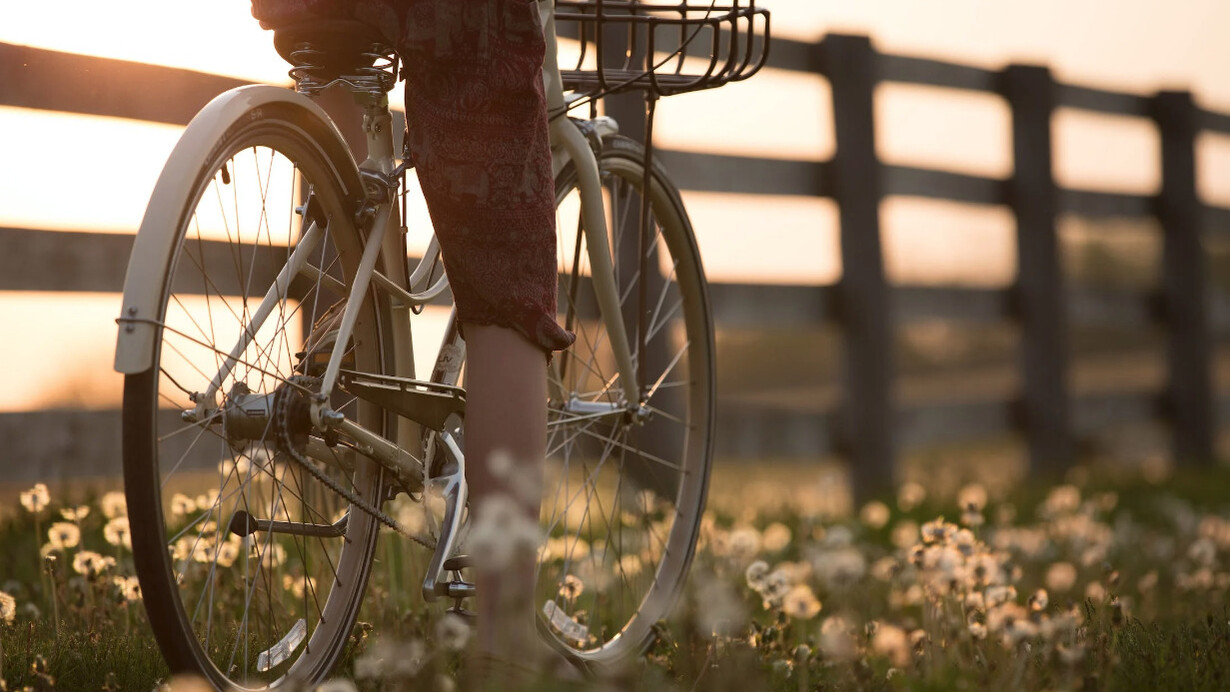 Persona pedala su una bicicletta in un prato pieno di piccole margherite al tramonto