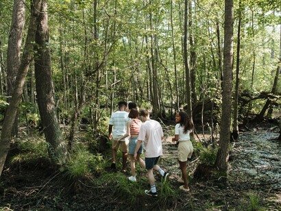 A group of people walking together in a wood