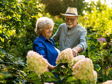 Active elderly couple tending to their garden, enjoying nature, exercise, and quality time together