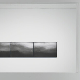 Silky Beauty. Courtesy of Amy Li Gallery