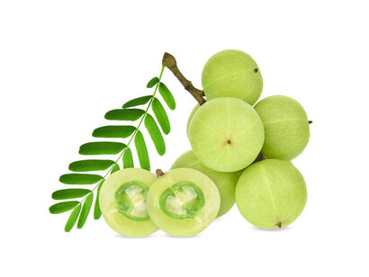 Il frutto di amalaki è l'ingrediente fondamentale del chyawanprash