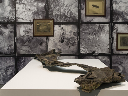 At Altitude. Courtesy of Towner Art Gallery