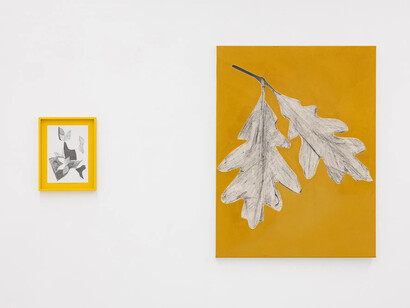 Frauke Dannert, Doppelgänger, exhibition view. Courtesy of Galerie Kandlhofer. Photo by Manuel Carreon Lopez