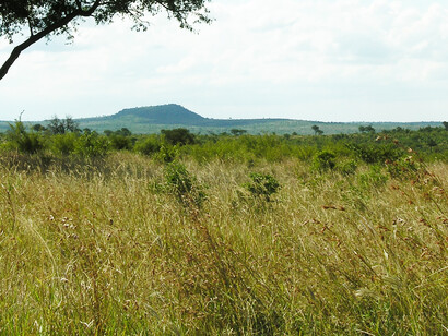 Ciel africain, 3 mars 2005. Photo par Chris Eason