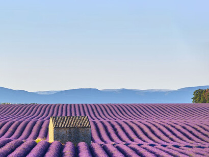 La distinction entre l’apparence et la réalité, corrélative à la distinction entre les QP et les QS, a été très débattue à l'époque moderne 