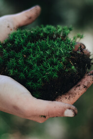 O mundo viu ser incoerente a ideia fixista de que a natureza está para nos servir eternamente