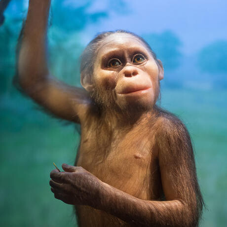 Tusher African Hall. Courtesy of California Academy of Sciences