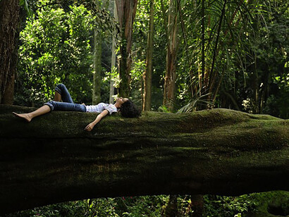 Trascorrere del tempo nella natura, in giardini, boschi o parchi con una densa presenza di alberi, può avere sorprendenti benefici per la salute
