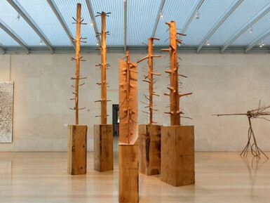 Giuseppe Penone: Being the River, Repeating the Forest, 2015-2016. From his conceptual and performative works of the 1960s and 70s to the large-scale sculptural installations of the past ten years, Penone has explored intimate, sensate, and metaphysical connections with nature
