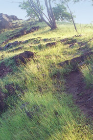 The path to the top of Seclusion Hill near Meherazad, India