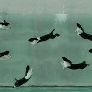 Magda Danysz Gallery