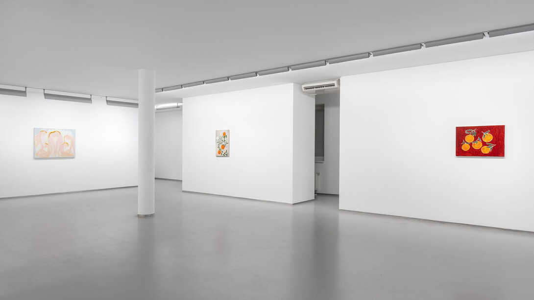 Sarah Bogner, Fallende früchte, ausstellungsansicht. Mit freundlicher genehmigung der Galerie Bernd Kugler