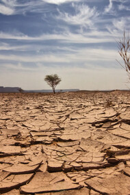 Le conseguenze dei cambiamenti climatici 
