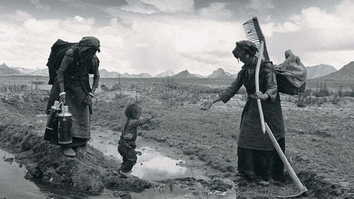 Lu Nan. Courtesy of Museu Coleção Berardo