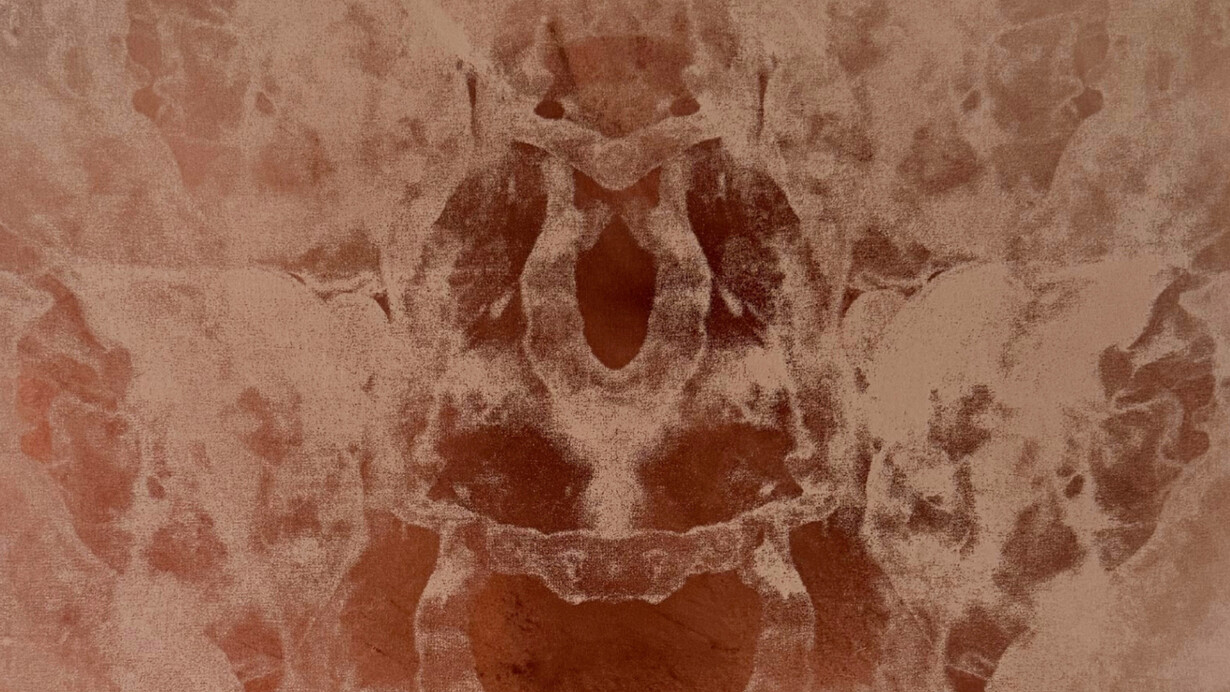 Ines Katamso, Hyphaeahpyh 5 (detail), 2026. Courtesy of the artist and Sullivan+Strumpf