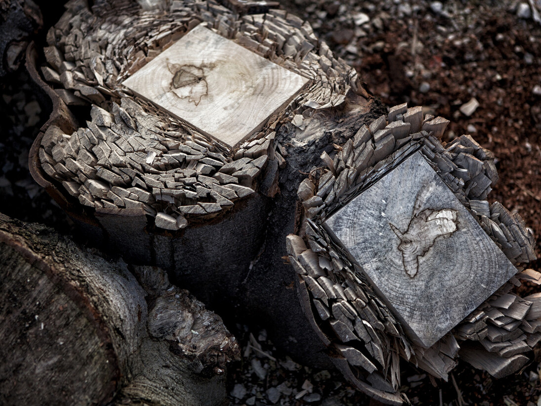 Mattia Bosco, Fiori Violenti, work in progress, foto Luca Peruzzi