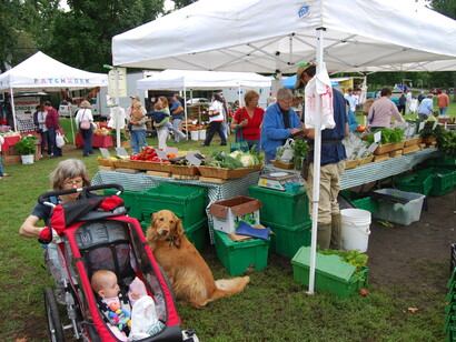 Reconnecting with community is part of the motivation for farmers' markets becoming popular across the western world, and key to
any green new deal, ph. Ashish Kothari
