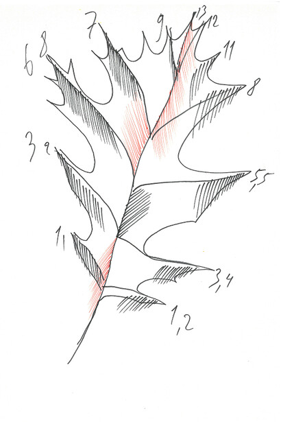 Mario Merz, Untitled, s.d. feltpen on paper, 21 x 29,7 cm, Private Collection, Courtesy Fondazione Merz, Torino
