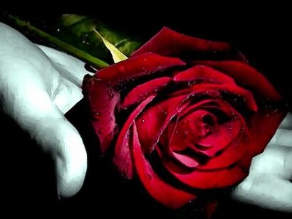 Una mano sostiene una rosa