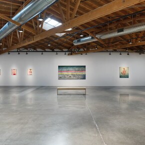 Anj Smith, The sequin-strewn night, exhibition view. Courtesy of Hauser & Wirth Gallery