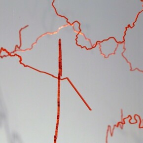 Intermittent Topographies, Exhibition view. Courtesy of Casa Nova Arte e Cultura Contemporanea