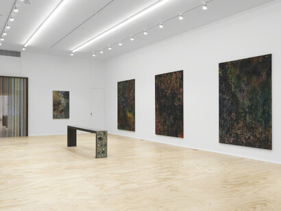Sam Falls, Exhibition view. Courtesy of Eva Presenhuber