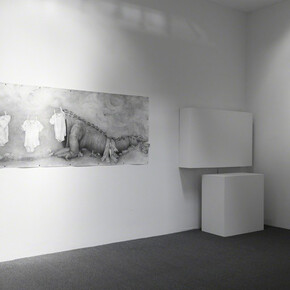 Adonna Khare. Courtesy of Lora Schlesinger Gallery