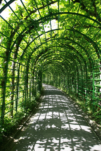 Arbour © Frank Kehren