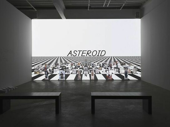 Frances Stark, installation views. Photos by Mark Woods