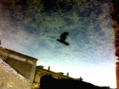 Death of Venice. Courtesy of Soho Photo Gallery