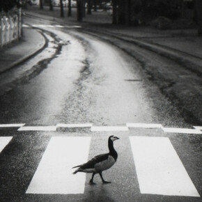 Warm Regards. Courtesy of Photo-eye Gallery