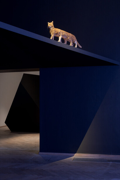 Various artists, Poetics of encryption, exhibition view. Courtesy of Kunsthal Charlottenborg