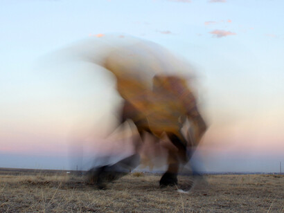 Tobias Fike, Repeated failures of trying to do what we thought we were doing #19, Collaboration with Matthew Harris, c-print, 16 x 20 inches (40.6 x 50.8 cm), Edition of 7, 2014