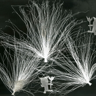Maria Garcia, Photogram. Courtesy the artist and Throckmorton Fine Art, NYC