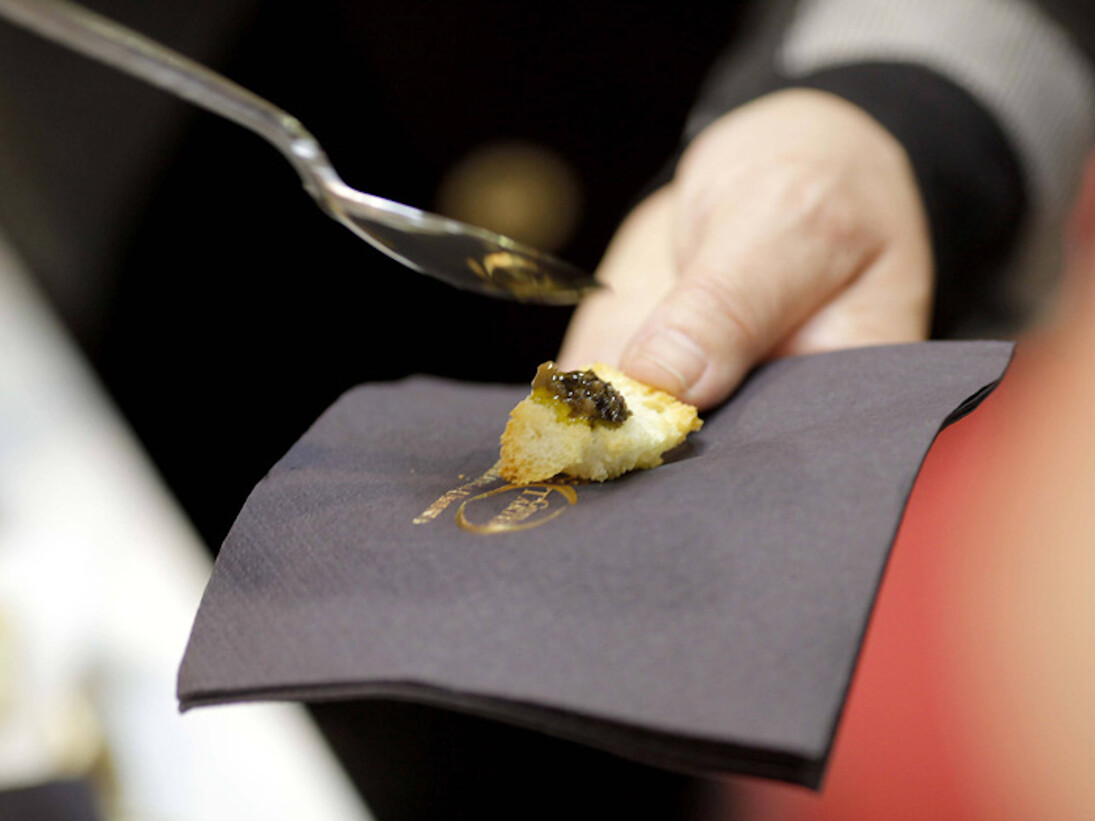 Sol & Agrifood fair view