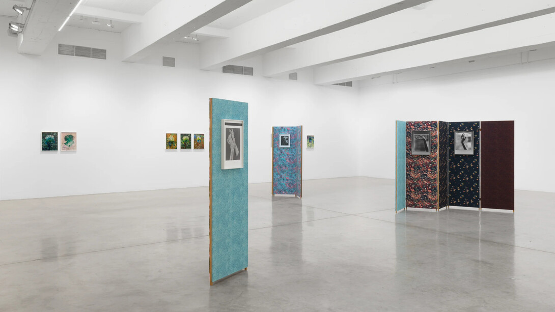 Lisa Oppenheim, Ourselves and the expression of ourselves, exhibition view. Courtesy of Tanya Bonakdar Gallery