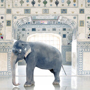Karen Knorr. Courtesy of Jackson Fine Art 