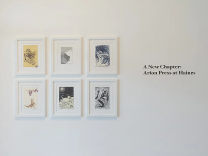 Various artists, A new chapter, exhibition view. Courtesy of Haines Gallery