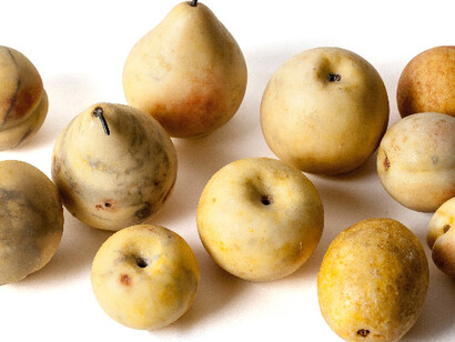 Colecciones Históricas - IES El Greco (Toledo)